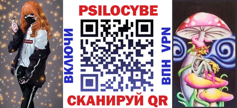 как найти закладки  Элиста  Псилоцибиновые грибы Cubensis 